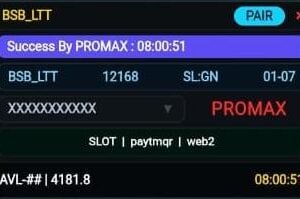 Promax Tatkal Software